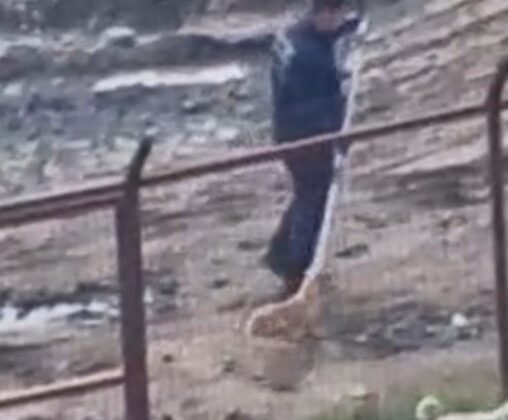 Sakarya Valiliğinden iki ilçedeki barınak görüntülerine ilişkin açıklama