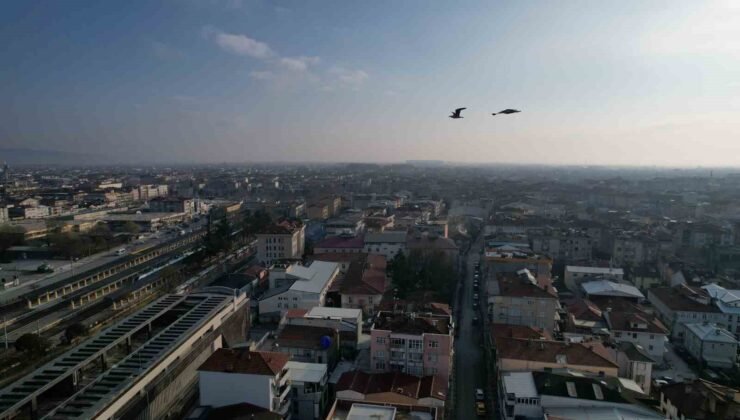 Sakarya’da aynı anda iki mevsim yaşanıyor