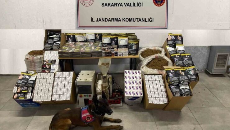 Sakarya’da jandarma ekipleri kaçakçılığa geçit vermiyor: 3 gözaltı