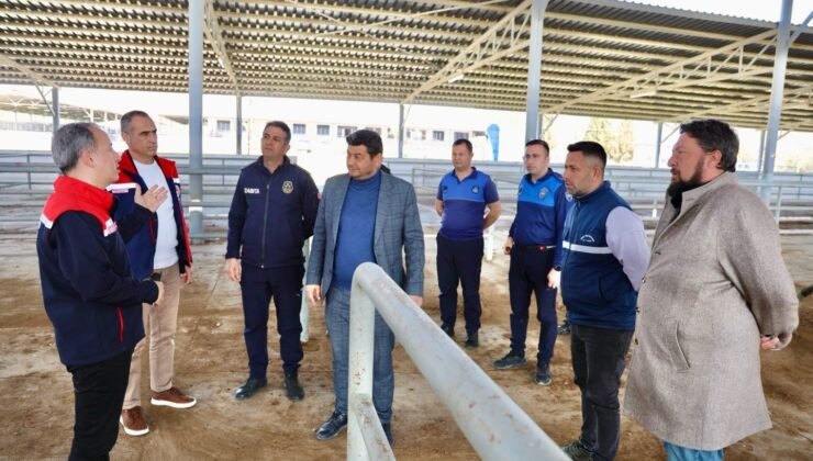 Şap hastalığı nedeniyle kapalı olan hayvan pazarı yeniden açılıyor