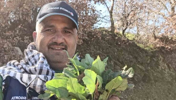 Sarıgöl’de baharın habercisi ekşi kulak tezgahlarda yerini aldı