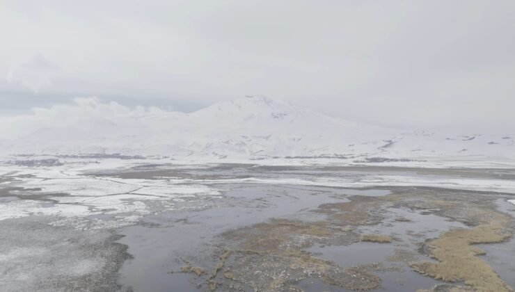 Sarısu sazlıkları ile Süphan Dağı’nın karlı zirvesi göz kamaştırıyor