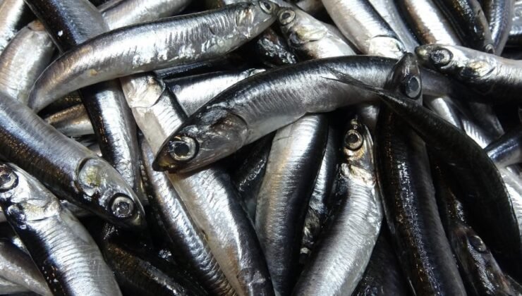 Savaş halindeki ülke ihracatta ilk sırayı aldı