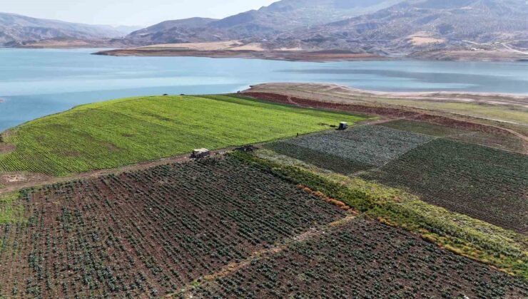 Siirt’te su tahliyesi uyarısı