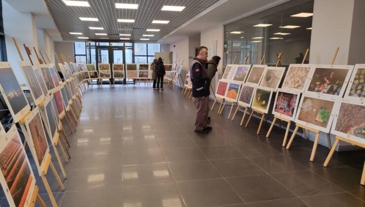 Sinop’ta “Tarım, Orman ve İnsan Sergisi” açıldı