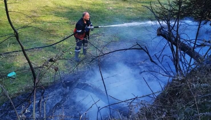 Sinop’ta yangın paniği