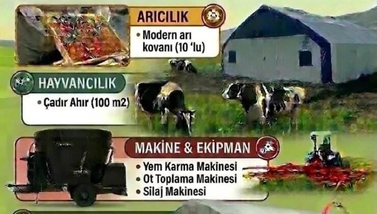 Sinoplu çiftçiye yüzde 70 hibe desteği