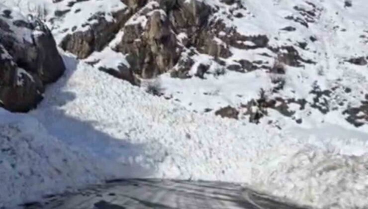Şırnak-Hakkari kara yolu çığ nedeniyle ulaşıma kapandı