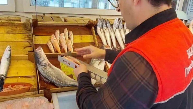 Su ürünleri denetimi gerçekleştirildi