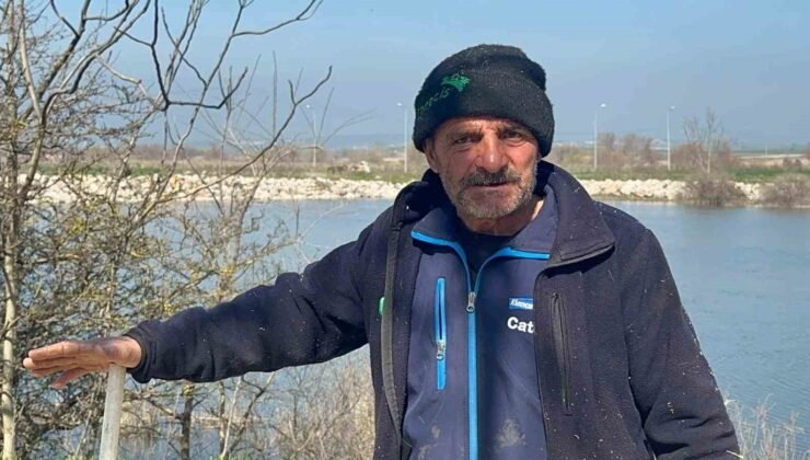 Süt inekçiliğinden dört çocuğunu büyüterek üniversitede okuttu