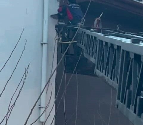 Takıldığı ipte asılı kalan güvercin kurtarıldı