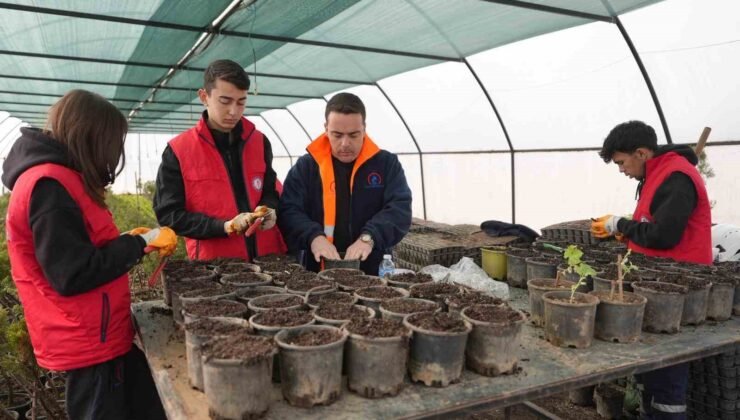 Tarım Akademisi’nden tarımsal kalkınmaya destek: Öğrenciler öğrendiklerini sahada uyguluyor
