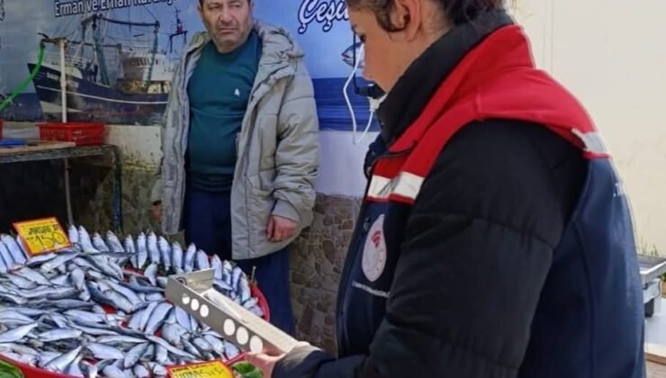 Tekirdağ’da su ürünleri denetimi aralıksız sürüyor