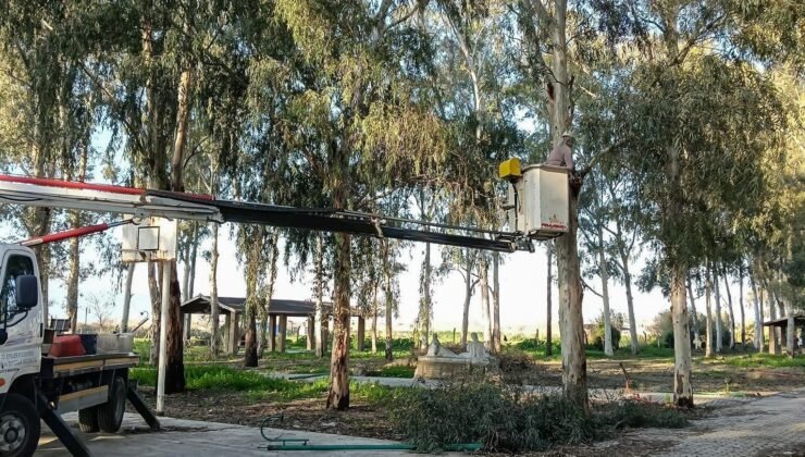 Tepecik Mesire Alanı yenileniyor