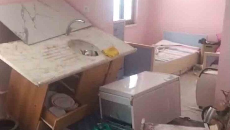 Trabzon’da yayla evine giren ayı ortalığı savaş alanına çevirmiş