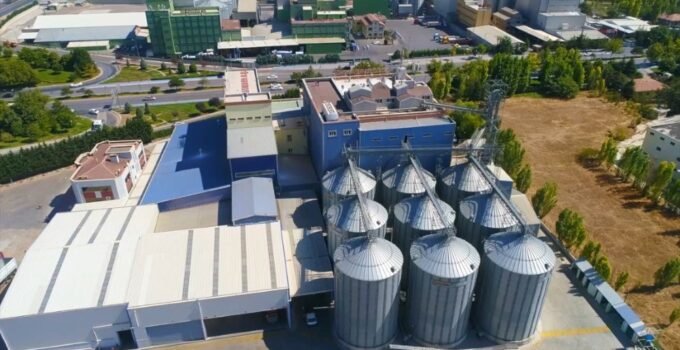 Türkiye’nin yeni ekmeği Konya’da geliştirildi