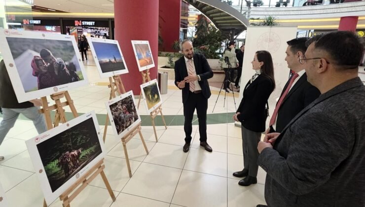 “Uluslararası Tarım, Orman ve İnsan Fotoğraf Sergisi” Kütahya’da açıldı