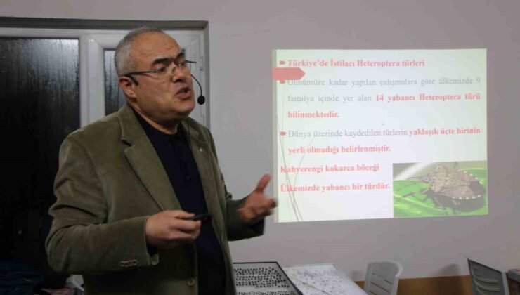 Uzmanı kahverengi kokarca için tarih verdi: “2030 yılından itibaren gündemden çıkmaya başlayacak”