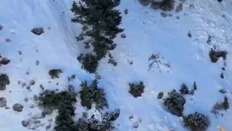 Uzundere’de buz tırmanışında ayı paniği