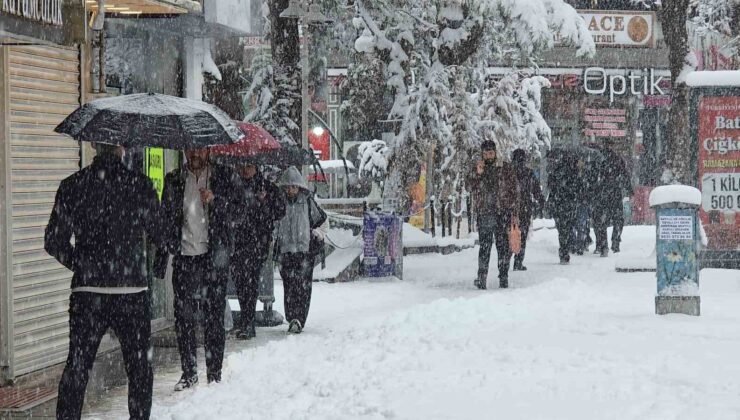 Van’da Mart sürprizi: Bahar beklerken kar kapıya dayandı