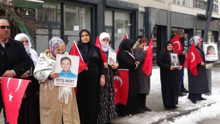 Vanlı anne: “Artık çocuklarımızı gömmeyelim, silahlarımızı gömelim”