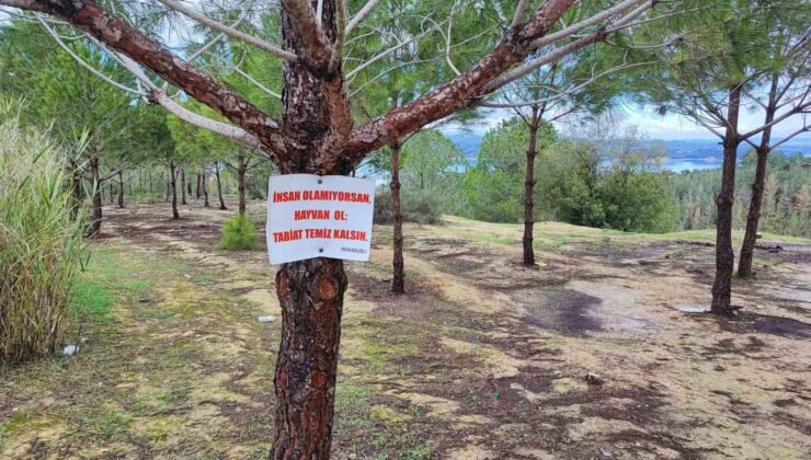 Vatandaşın ağaca astığı “Tabiat temiz kalsın” uyarısı yetmedi
