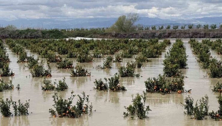 Yağışlar tarım arazilerini vurdu