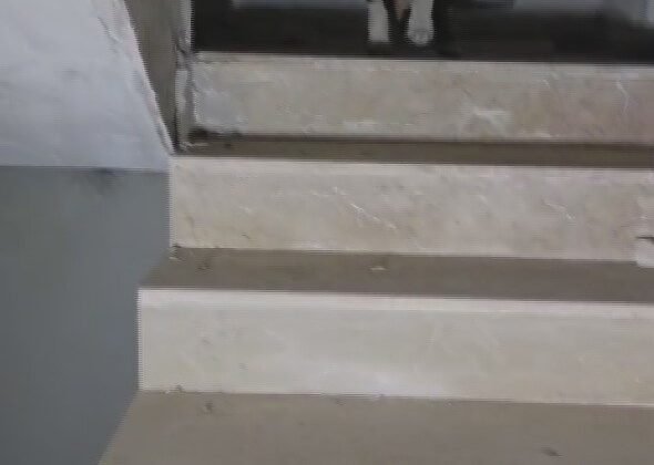 Yıkılacak binadaki yavru köpekleri kurtaran hayvansever yürekleri ısıttı