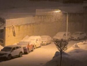 Yüksekova’da kar yağışı etkili oldu