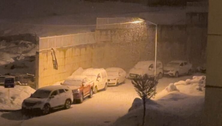 Yüksekova’da kar yağışı etkili oldu